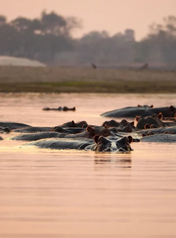 Journey Of Joy Tours and safaris_011